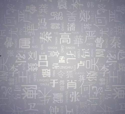 广西姓氏爆料最新消息是什么,最新家族传承揭秘，探寻广西姓氏源流与变迁