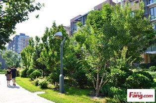 瑾儿最新动态爆料,精彩瞬间大盘点