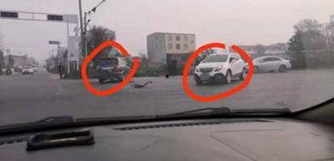 杞县南车祸最新爆料信息,事故原因及伤亡情况披露