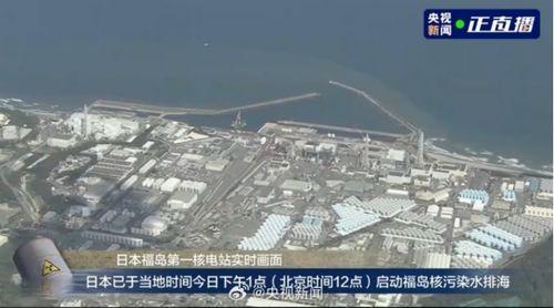 排放核废水最新爆料信息,真相与争议并存